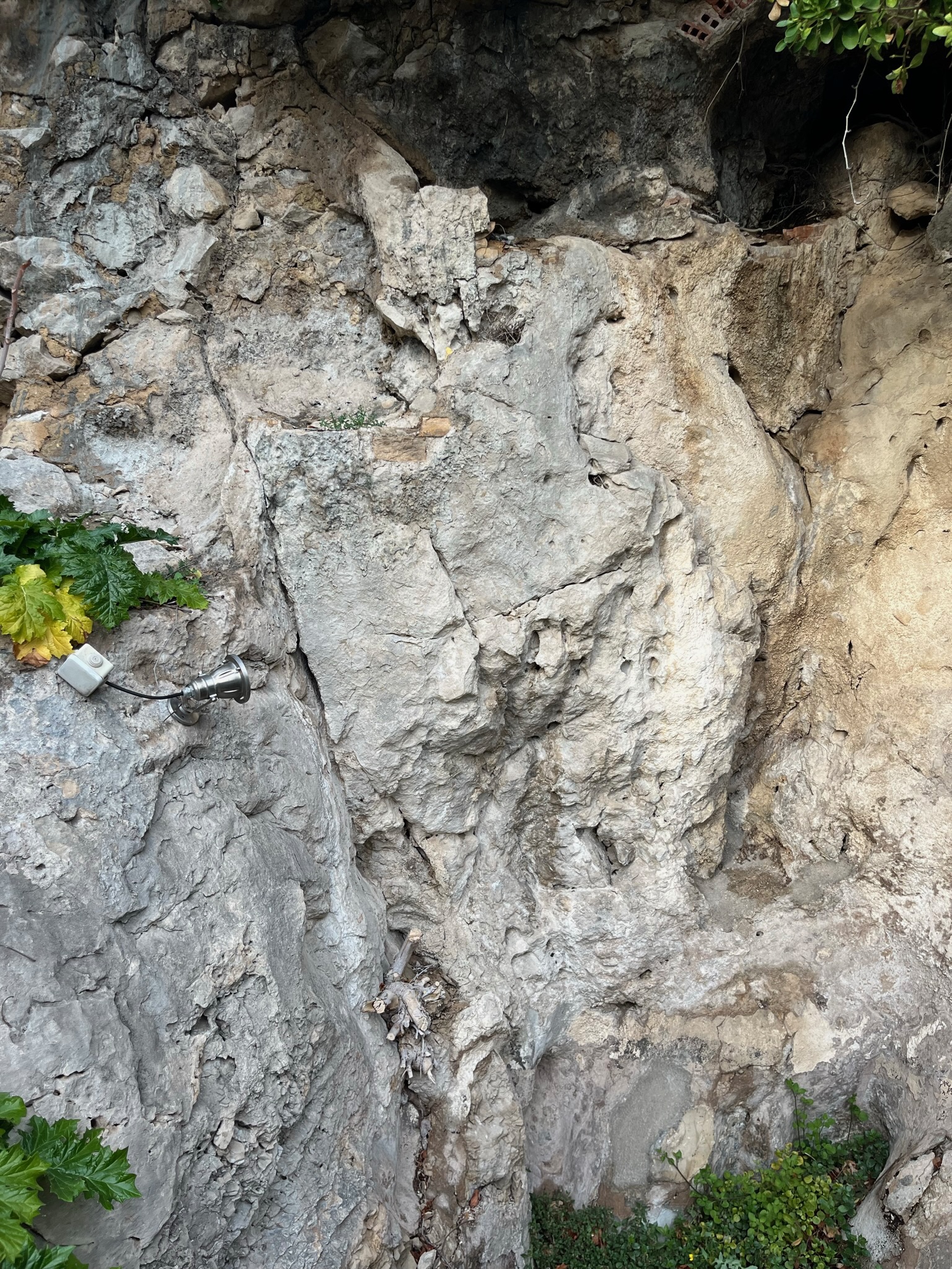 Chantier Roucas - Photo 30